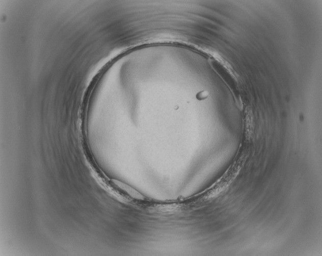 X0000069381134200606021600