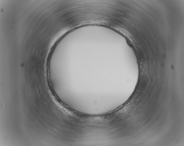 X0000069381135200606021600