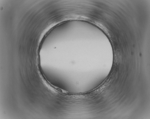 X0000069381136200606021600