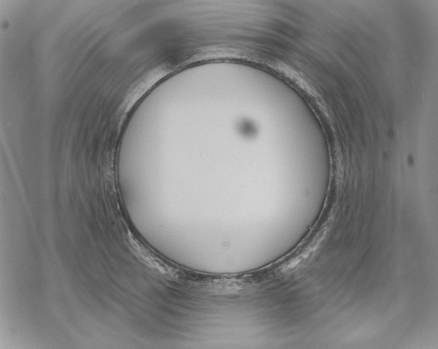 X0000069381137200606021600