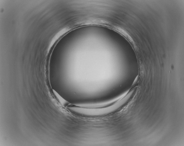 X0000069381138200606021600