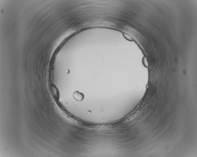 X0000069381139200606021600