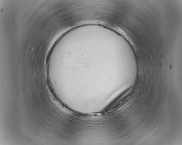 X0000069381140200606021600