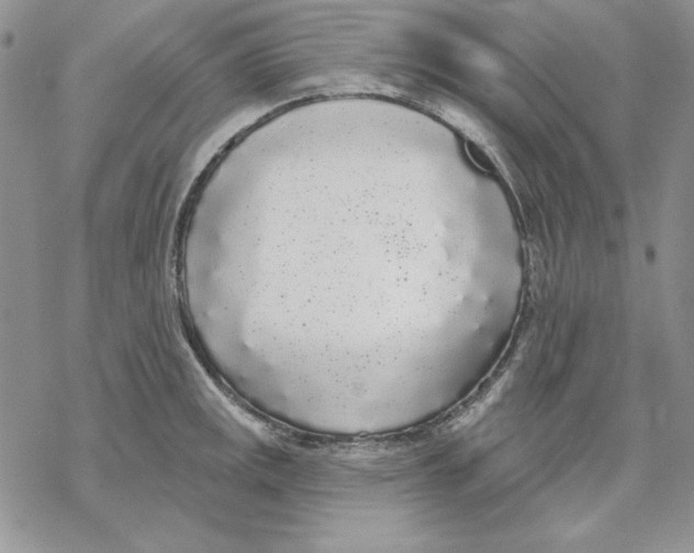 X0000069381141200606021600