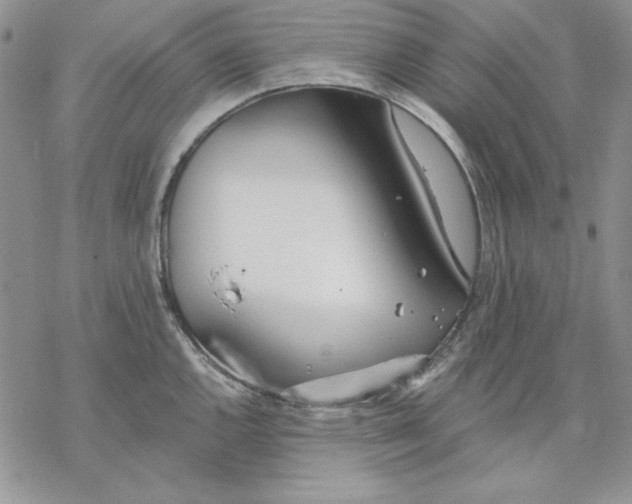 X0000069381144200606021600