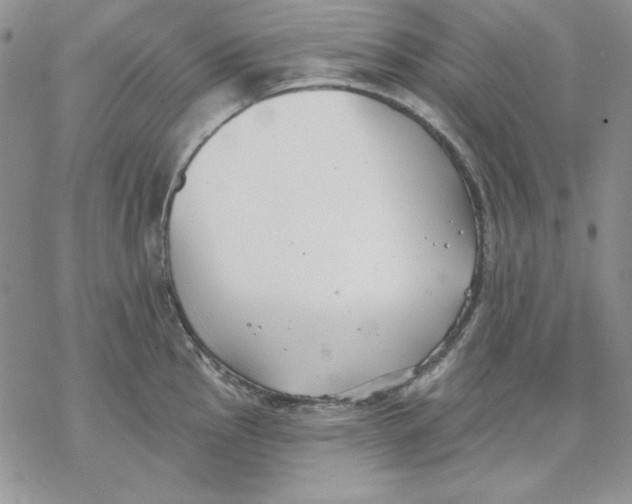 X0000069381145200606021600