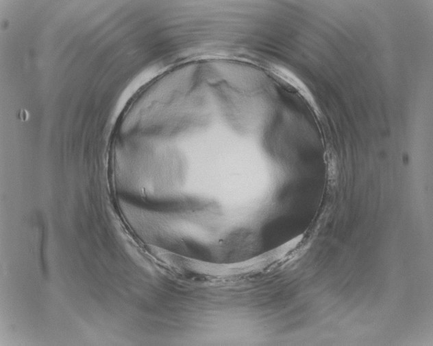 X0000069381146200606021600