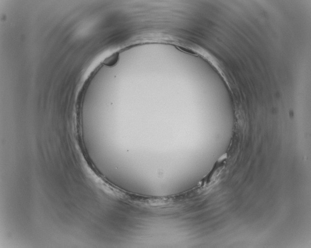 X0000069381147200606021600