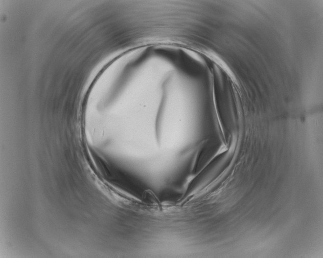 X0000069381148200606021600