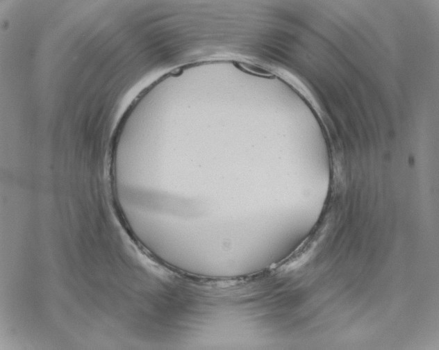 X0000069381149200606021600