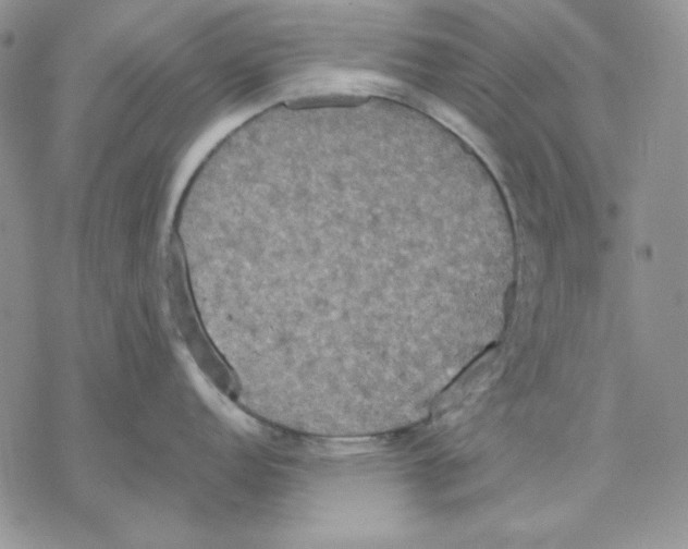 X0000069381152200606021600