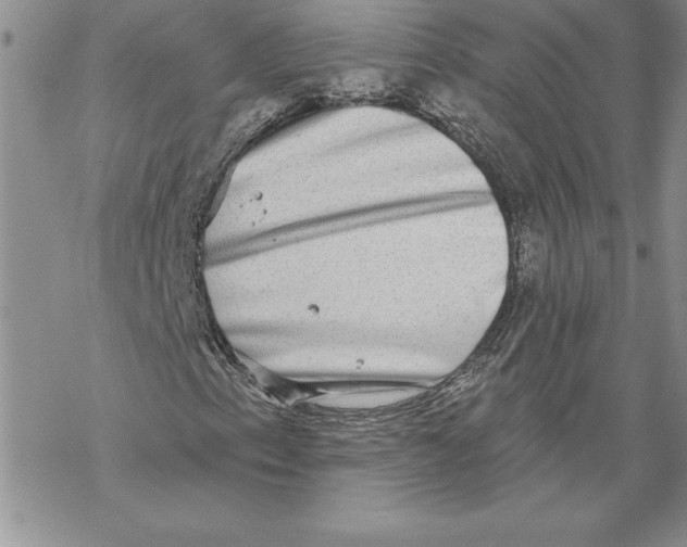 X0000069381153200606021600