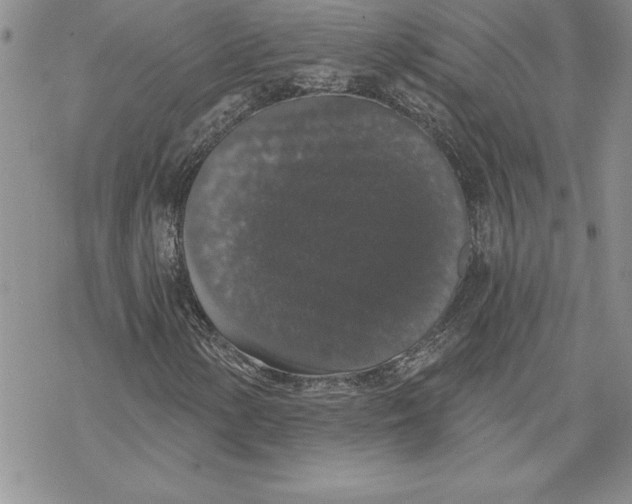 X0000069381154200606021559