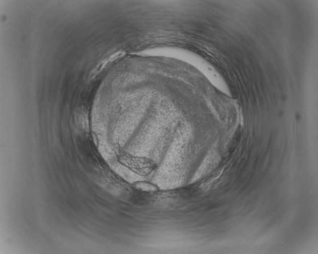 X0000069381155200606021559