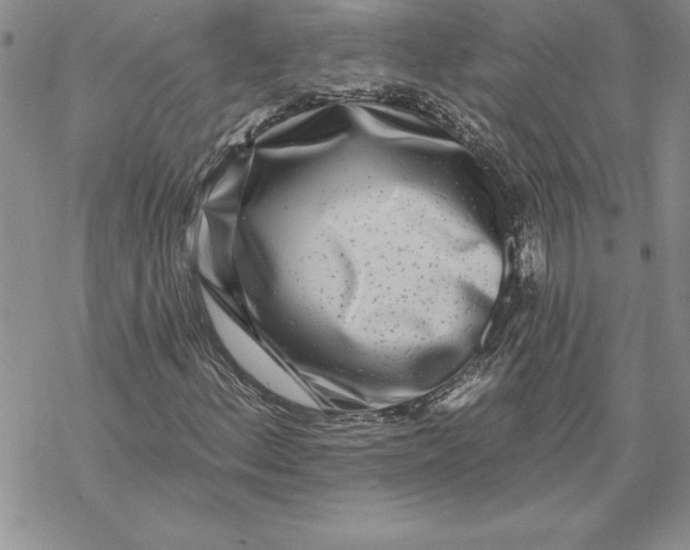 X0000069381156200606021559