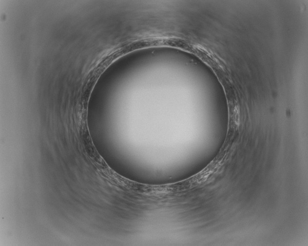 X0000069381157200606021559