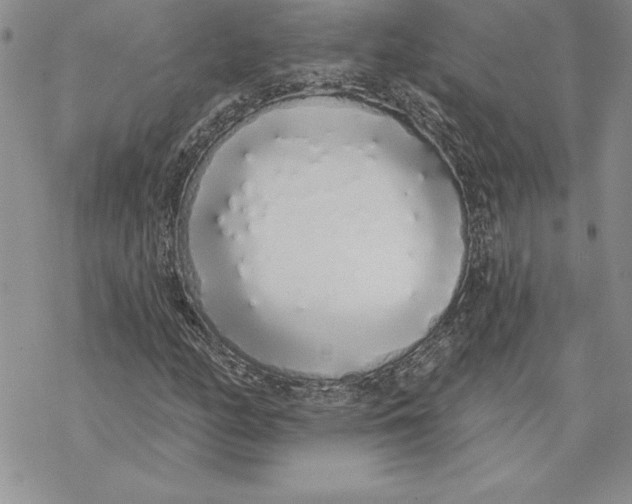 X0000069381158200606021559