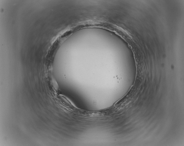 X0000069381160200606021559