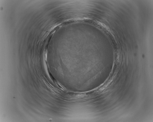 X0000069381161200606021559