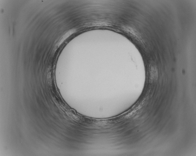 X0000069381162200606021559