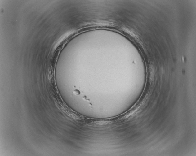 X0000069381163200606021559