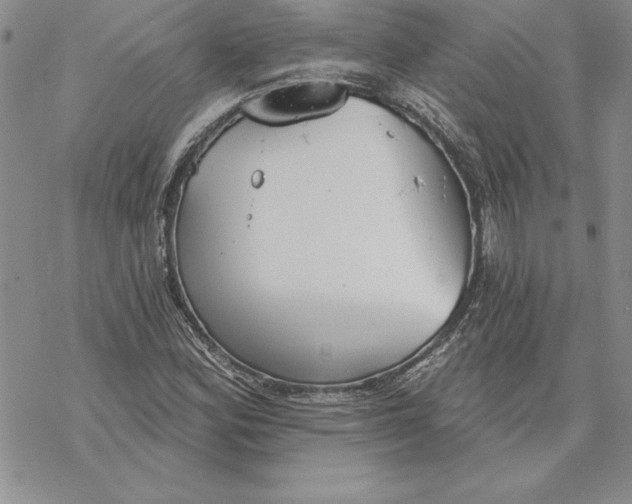 X0000069381164200606021559