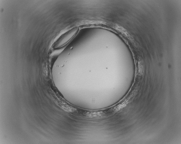 X0000069381165200606021559