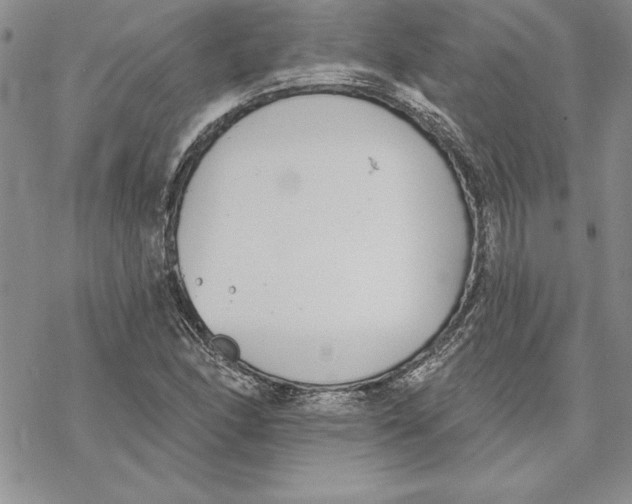 X0000069381166200606021559