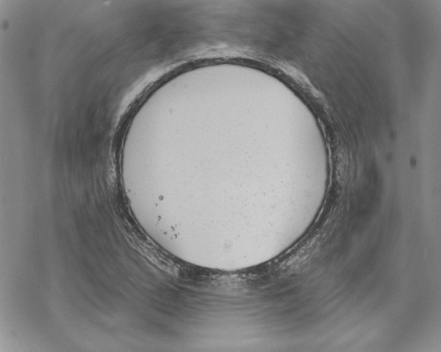 X0000069381167200606021559