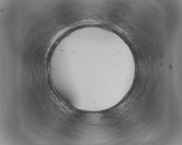 X0000069381168200606021559