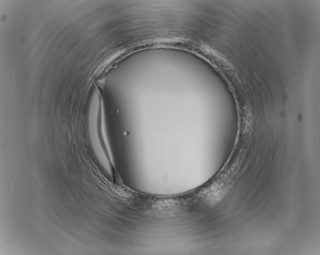 X0000069381169200606021559