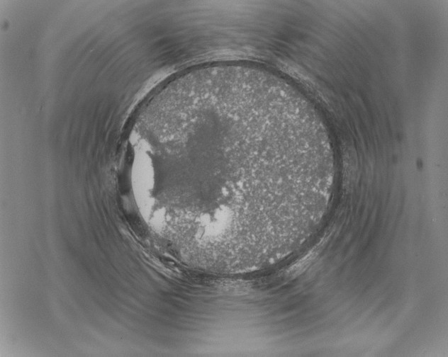 X0000069381170200606021559