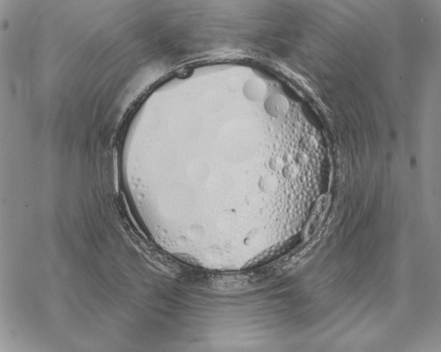 X0000069381171200606021559