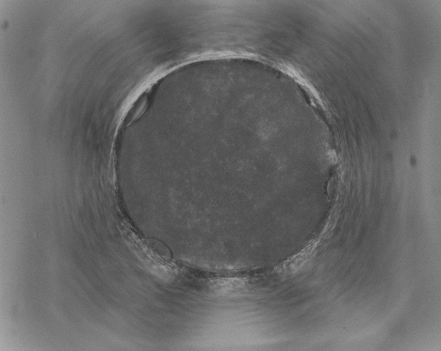 X0000069381173200606021559