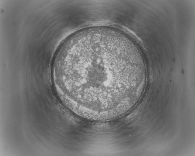 X0000069381174200606021559