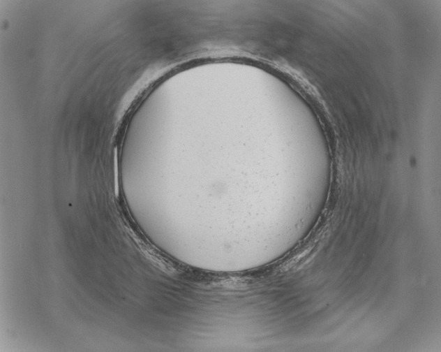 X0000069381175200606021559