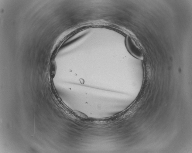 X0000069381176200606021559