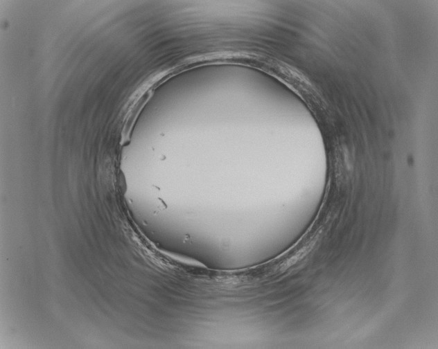 X0000069381177200606021559