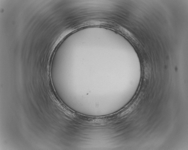 X0000069381178200606021559