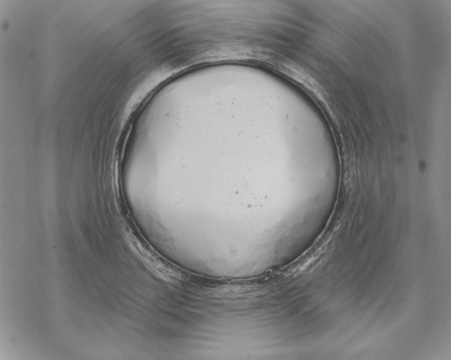 X0000069381179200606021559