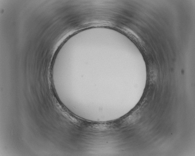 X0000069381182200606021559