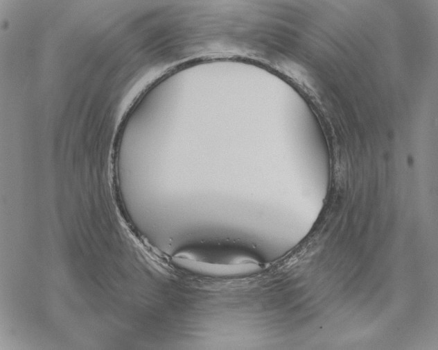 X0000069381183200606021559