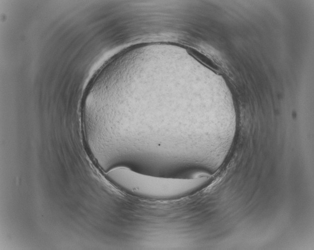 X0000069381184200606021559