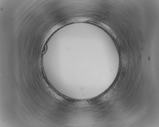 X0000069381186200606021559