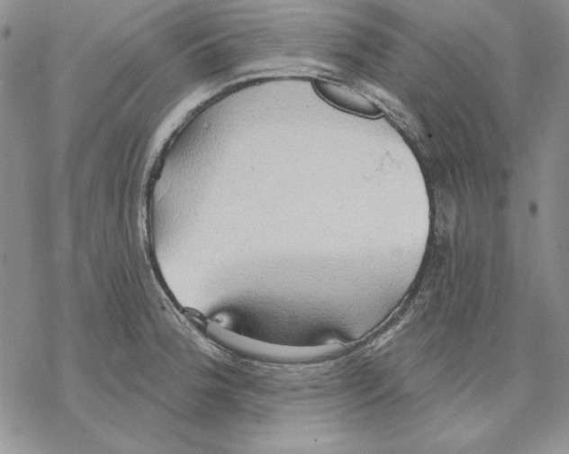 X0000069381188200606021559