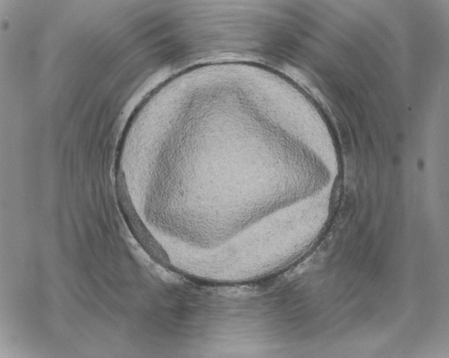 X0000069381189200606021559