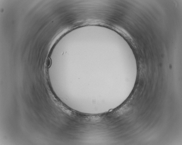 X0000069381190200606021559