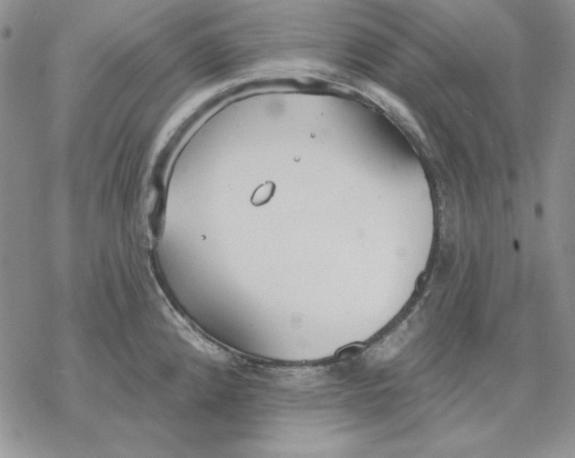 X0000069381192200606021559