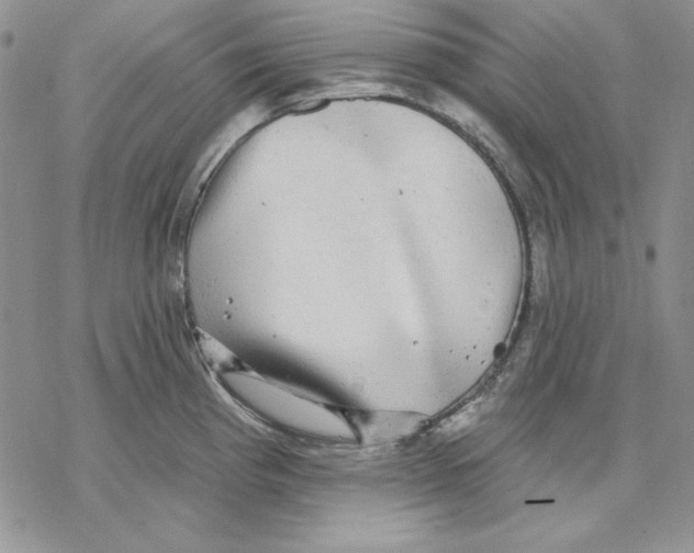 X0000069381193200606021559