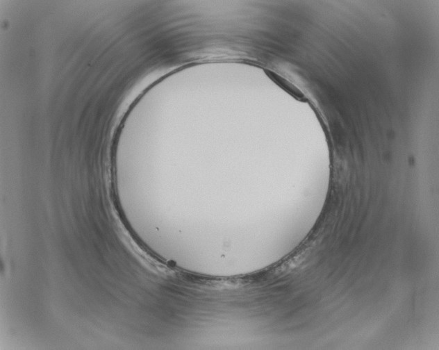 X0000069381195200606021559